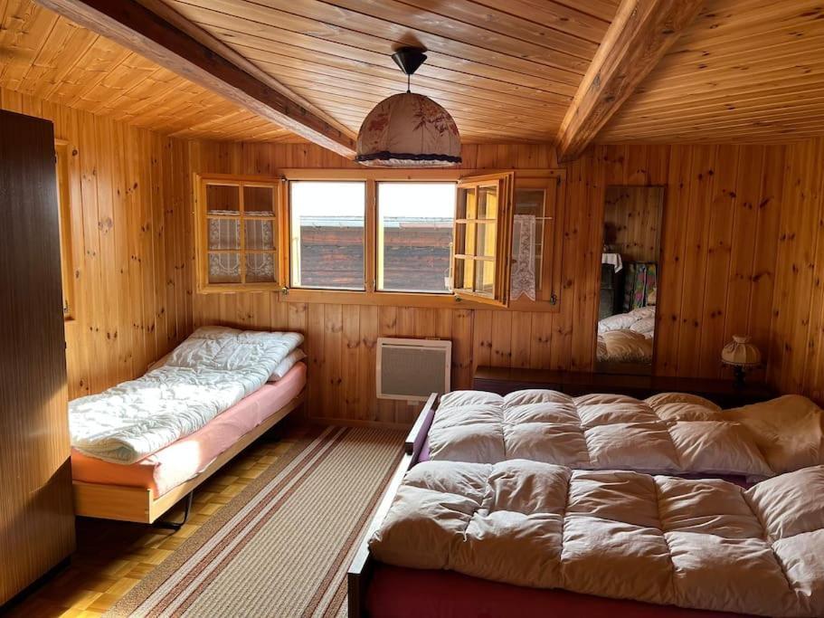 Chalet 3 Pieces De Caractere Mayoux Luaran gambar